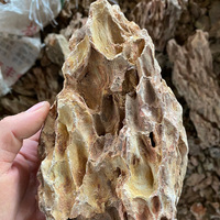 Pierre dragon naturelle pour l’aquascaping et la décoration d’aquarium