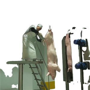 Equipo Completo para Matadero de Cerdos para Procesamiento de Carne de Cerdo en Mataderos - Product Image 1