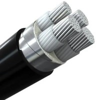 Nyy Swa Niederspannungs-/Mittelspannungskabel 0,6/1kV 6/10kV 26/35kV Aluminiumleiter Stahlbandarmiertes Kabel Yvv PVC-Stromkabel