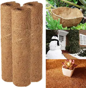 Bio-Kohlmatten-Kokosnussfaserblech für mikro-grün-Kokosnuss-Kohlblech Werkspreis