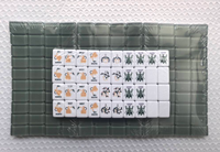 Maßgefertigtes Graviertes Acryl-Amerikanisches Mahjong-Set 160 Stück Luxuriöses Indoor-Ludo-Spiel mit Schichtdesign