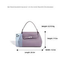 Tas Selempang Korea Desain Niche Terbaru 2026, Tas Ketiak High-End Serbaguna, Simpel, Elegan, Tas Selempang Diagonal