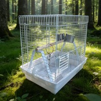 Jaula de Viaje Portátil para Loros, Transportín Ligero para Pájaros con Percha y Comederos, Jaula Transpirable para Pájaros Pequeños para Viajes al Veterinario