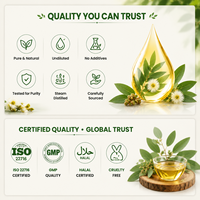 Huile Essentielle Pure d'Eucalyptus Citronné Naturel en Gros, Spray Rafraîchissant pour Ambiance avec Base d'Odeur Fraîche