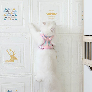 SinSky Manufacturer New Design Rainbow <strong>Cat</strong> Dog <strong>Harness</strong> Set Hard Wearing Terylene Walking Dog <strong>Cat</strong> <strong>Harness</strong> and Leash - Product Image 5