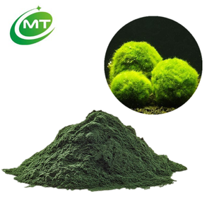 Extrait de <span class=keywords><strong>Chlorella</strong></span> Vulgaris de poudre de <span class=keywords><strong>Chlorella</strong></span> Vulgaris de haute pureté 50% protéines pour les superaliments nutritifs et les soins de la peau - Product Image 2