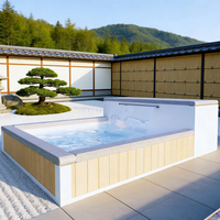 Piscine hors sol peu profonde sur mesure avec cascade et filtre chauffant pour hôtel de villégiature sur toit, installation facile