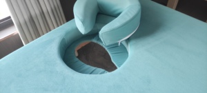 Vente flash - Mobilier de spa professionnel moderne - Table de massage pour salon de beauté et hôtel - Article très demandé dans l'industrie de la beauté - Product Image 5