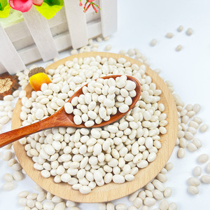 Trực Tiếp Từ Trung Quốc Số Lượng Lớn Các Loại Khác Nhau của Trắng Thận Đậu Và Hải Quân Đậu Nguyên Liệu Và Khô Cho Thực Phẩm Sử Dụng - Product Image 6