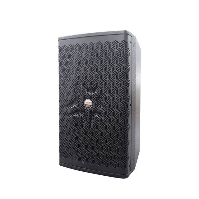 Playground Indoor Audio Speaker 12 Inch 2 Way 350W 8Ohm Birch Plywood Loudspeaker for Entertainment and Public Indoor Venues