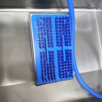 Laveuse industrielle de bottes à poste unique avec brosse de nettoyage de la tige, brosse à semelle et tuyau d'arrosage pour abattoirs