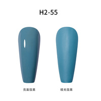 Gel vernis VIP 60 pièces/Kit manucure Nail Art Salon UV Gel vernis à ongles Gel couleurs ensemble