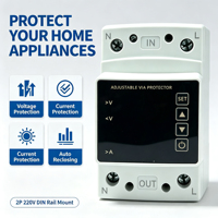 Protecteur de tension 2P, AC220V 40A/63A/80A/100A, dispositif de protection de tension à réinitialisation automatique sur rail DIN