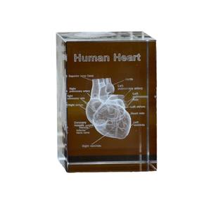 Modèle de cœur en cristal d'anatomie humaine sculpté en 3D élégant Ornement médical élégant pour l'artisanat de la structure Autre produit d'artisanat en cristal - Product Image 5