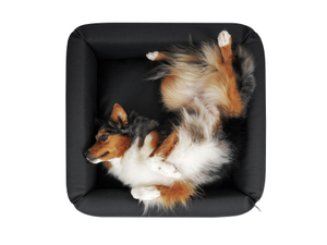 Fabrika Özel Üretim Rahat Ortopedik Memory Foam Evcil Hayvan Köpek Yatağı Köpek Kulübesi Çıkarılabilir Yıkanabilir Su Geçirmez Kılıf - Product Image 5