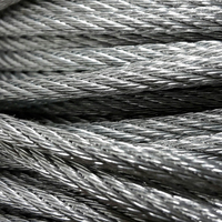 Câble en acier inoxydable non magnétique Aisi 304, corde métallique marron pour balustrade, 1mm 2mm 3mm, prix