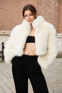 Manteau court réversible en fausse fourrure de renard pour femme, col montant, chaud, style urbain, marque Masdb pour le streetwear et le style G. - Product Image 6