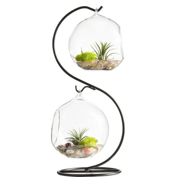 Florero de vidrio terrario planta con soporte de Metal 2 globo