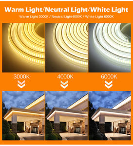 Bande lumineuse étanche à <span class=keywords><strong>LED</strong></span> COB <span class=keywords><strong>220V</strong></span>, 288 diodes/m, <span class=keywords><strong>ruban</strong></span> de lampe Flexible haute densité, 3000K, 4000K, 6000K - Product Image 4