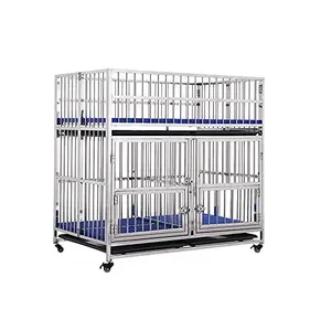 Cage de chien en acier inoxydable à Double pont, caisse de chenil avec séparateur, 4 roues verrouillables, Double portes et plateau amovible