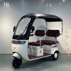 <b>Pedal</b> Tricycle with Canopy 3 Seats 48V Closed Body 200-300kg Payload Capacity for Passenger and Cargo Transport - Product Image 2