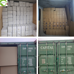 غذاء صحي عالي الجودة سعر المصنع حبات الفول السوداني المقشرة اللذيذة - Product Image 6