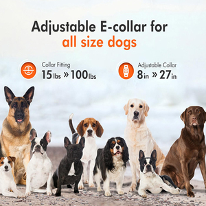 <span class=keywords><strong>Collar</strong></span> de Adiestramiento para Perros con Control Remoto, Resistente al Agua IP67, Recargable, Ajustable, con Control de Ladridos y Sonido Seguro - Product Image 5