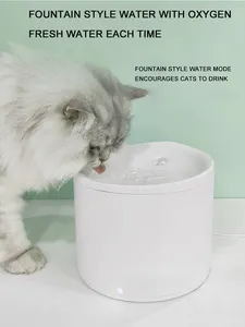 שדרוג אוטומטי לחיות מחמד מזרקת מים עם מסנן פלסטיק חתול כלב מתקן מים חתול מזרקת שתייה