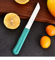 Couteau d'office en acier inoxydable Fuxwell Couteaux de cuisine avec manche confortable en PP
