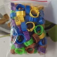 Volaille en plastique Snap Ring pour poulet oiseaux Clip mangeoires équipement accessoires serrure Coops anneaux outils de gestion mangeoire à oiseaux