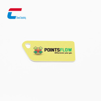 Porte-clés NFC personnalisé de différentes formes, petite carte RFID, mini-étiquette NFC pour contrôle d'accès, idéal pour les cartes de membre de gym