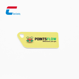 Tarjeta RFID Personalizada de Diferentes Formas, Pequeña, para Gimnasio, Membresía, Mini Etiqueta NFC, Llavero para Control de Acceso - Product Image 2