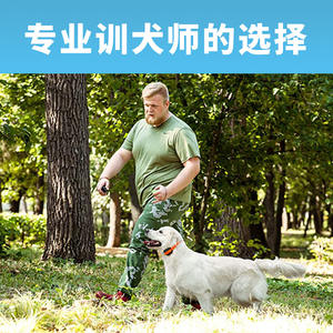 PetSpy M686, Entrenador Remoto para Perros, Control de Ladridos a Prueba de Agua, Alcance de 1 km, con 3 Modos para Perros y Mascotas - Product Image 4