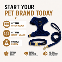 Ensemble laisse et collier pour chien en velours brodé personnalisé, réglable, en alliage et nylon, marque personnalisée pour petits chiens, promenade et dressage