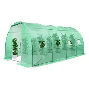 녹색 PE 커버 온실 터널과 온실 정원 식물 뜨거운 집에서 큰 산책