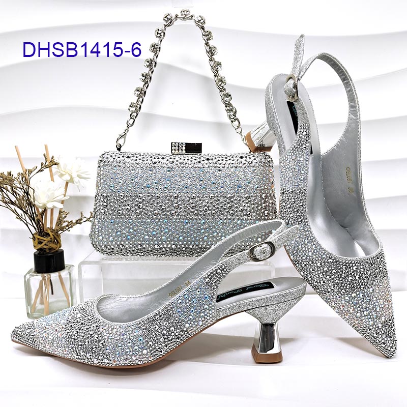DHSB1415-6 SILVER