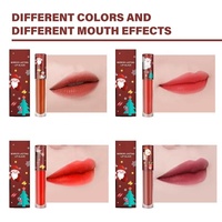 Ensemble de rouges à lèvres liquides personnalisés à label privé, brillants, hydratants, longue durée, imperméables, vegan, pour Noël