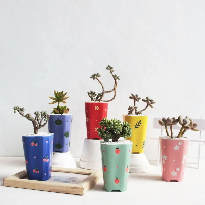 Modern Simple printed small fresh hand-painted ceramic small old pile succulent flower pot customized