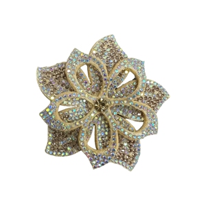 Clips <span class=keywords><strong>para</strong></span> <span class=keywords><strong>Zapatos</strong></span> con Cristales y Diamantes <span class=keywords><strong>de</strong></span> Imitación, Chapados en Oro, en Varios Colores, Adornos Florales <span class=keywords><strong>para</strong></span> <span class=keywords><strong>Zapatos</strong></span> <span class=keywords><strong>de</strong></span> <span class=keywords><strong>Novia</strong></span>, Decoración <span class=keywords><strong>para</strong></span> Tacones - Product Image 5