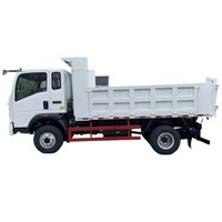Camions à benne basculante 4x2 Euro 3 de petite taille, haute puissance