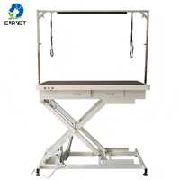 Table de toilettage électrique pour animaux EUR VET, équipement vétérinaire, double commande, hauteur réglable, table antidérapante pour clinique vétérinaire