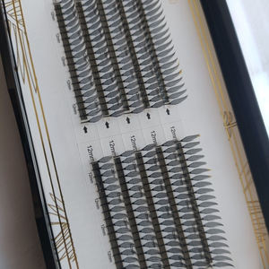 <span class=keywords><strong>Manga</strong></span> logotipo personalizado Natural Comic Spire Lash diseño único hecho a mano 0,07 CD Curl extensión de pestañas nuevo lanzamiento Anime Spire Lashes - Product Image 4