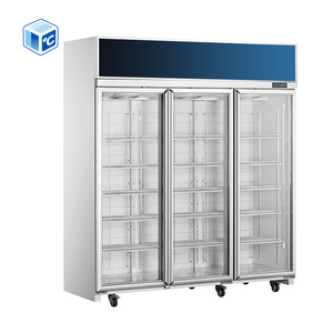 상업용 냉장고 냉동고 사일런트 스테인레스 스틸 압축기 스탠드 업 냉동고 1 더블 3 도어 상업용 유리 도어 냉동고 - Product Image 3