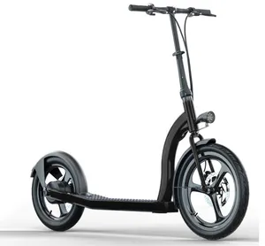 Patinete eléctrico de buena calidad, Scooter Eléctrico de 2022 vatios, 6Ah, 10Ah, dos ruedas, precio bajo, 350