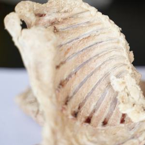 Grande Hutch coelho espaçoso com intempéries Design Outdoor Indoor Use Pet <span class=keywords><strong>Rabbit</strong></span> Row Pet liofilizado Food - Product Image 2