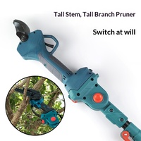 Scie à branches télescopique avec perche d'extension, scie d'élagage en hauteur, taille-branches portatif allongé pour jardin