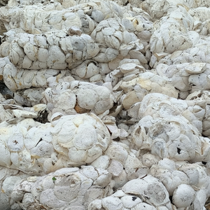 ยางก้อนเนื้อแบบถ้วยเวียดนาม65-70% DRC | น้ำยางความบริสุทธิ์สูง | ราคาที่แข่งขันได้จากทั่วโลก - Product Image 1