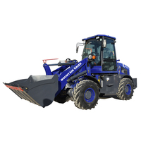 Landwirtschaftlicher Lader Elektrischer Hoflader Radlader