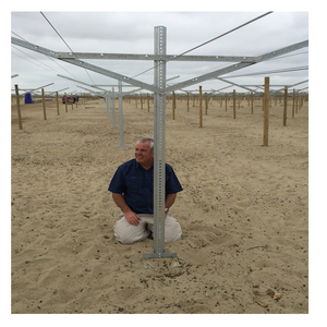 Mạ kẽm cấu trúc mạnh mẽ bảng thép nho đầu hồi <span class=keywords><strong>trellis</strong></span> Hệ Thống Bài với tất cả các phụ kiện - Product Image 4