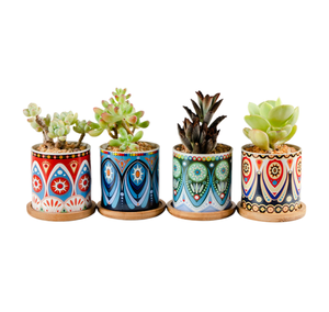 Mignon Nordique Simple Mandala Motifs Cylindre Succulent Céramique Pot De <span class=keywords><strong>Fleurs</strong></span> Bambou Plateau Jardin Extérieur Cadeau De Noël De Table - Product Image 4
